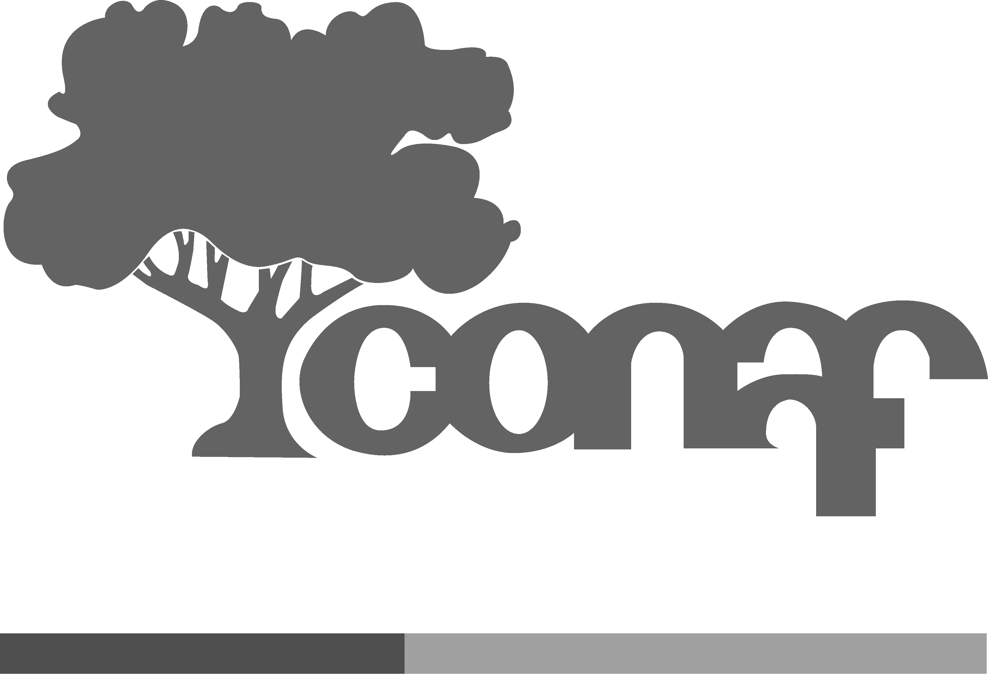 CONAF – Cliente de Consultora RVL